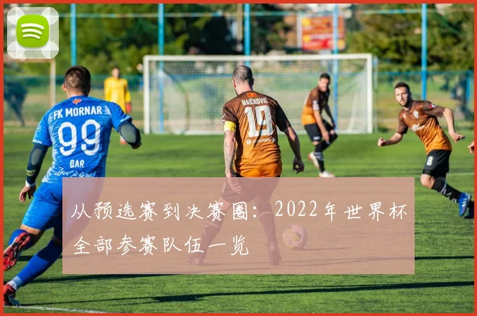从预选赛到决赛圈：2022年世界杯全部参赛队伍一览
