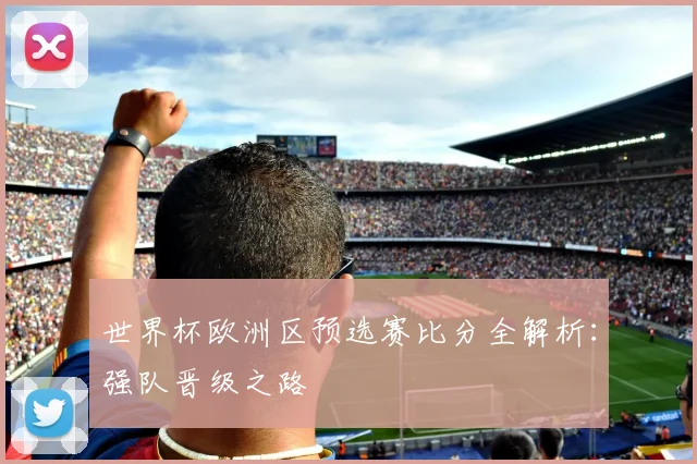 世界杯欧洲区预选赛比分全解析：强队晋级之路