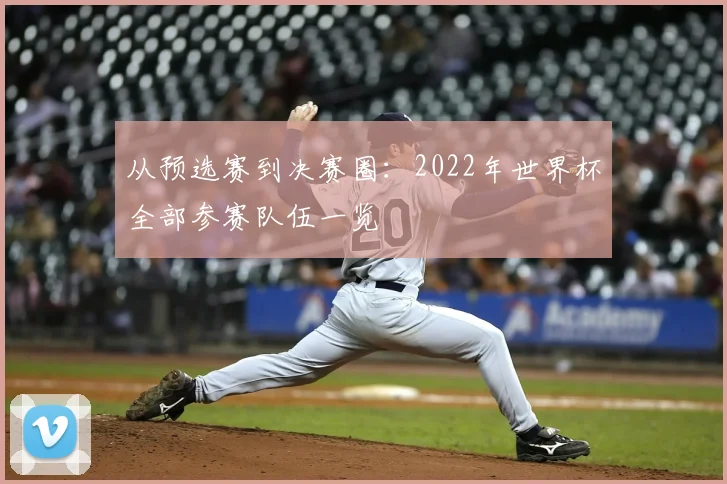 从预选赛到决赛圈：2022年世界杯全部参赛队伍一览