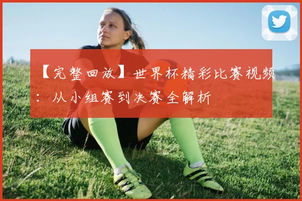 【完整回放】世界杯精彩比赛视频：从小组赛到决赛全解析