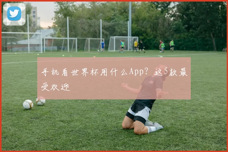 手机看世界杯用什么App？这5款最受欢迎