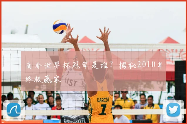 南非世界杯冠军是谁？揭秘2010年终极赢家
