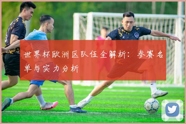 世界杯欧洲区队伍全解析：参赛名单与实力分析