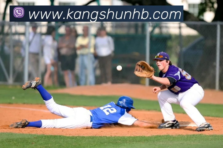 up体育官网发展历程